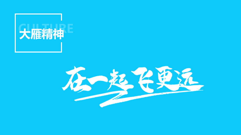 上海示一膜結構有限公司